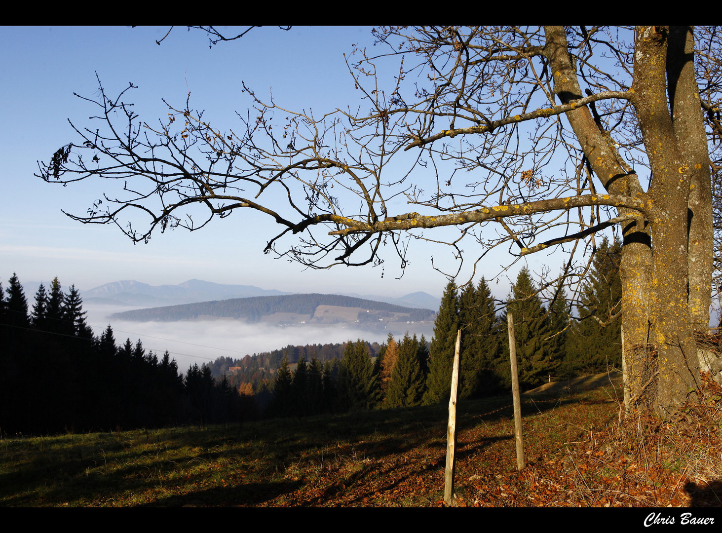 Wer in schönen Dingen einen schönen Sinn entdeckt – der hat Kultur.