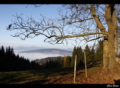 Wer in schönen Dingen einen schönen Sinn entdeckt – der hat Kultur.