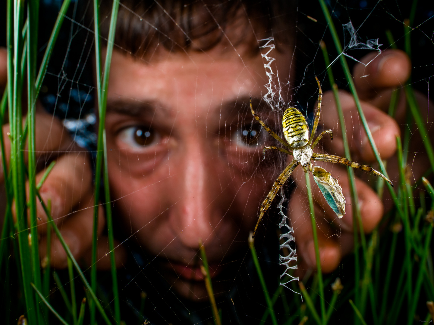 Wer ist das? Foto & Bild | makro, close up, natur Bilder auf fotocommunity