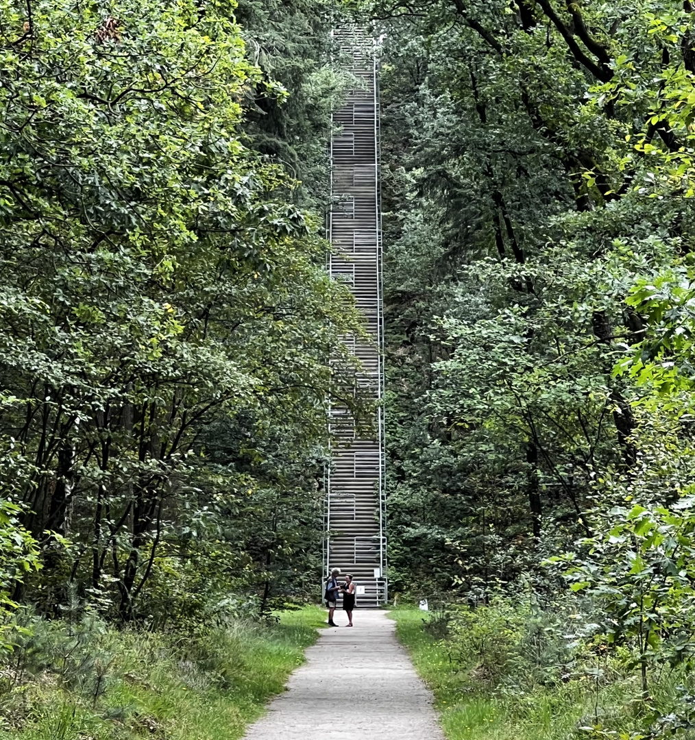 Wer ist denn mit der Treppe dran?