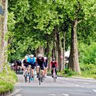 wer ist schneller - Radfahrer - Radrennfahrer oder Inlinerfahrerin