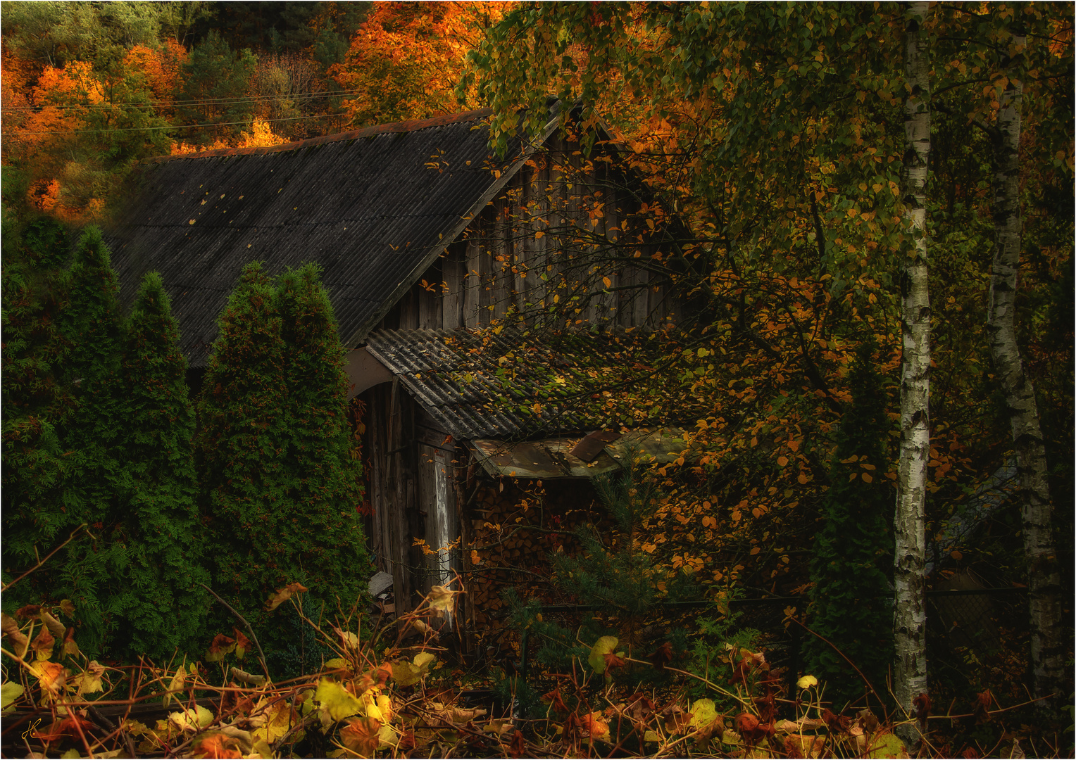 Wer jetzt kein Haus hat Foto & Bild world, natur, herbst Bilder auf Wer jetzt kein Haus hat Foto & Bild world, natur, herbst Bilder auf