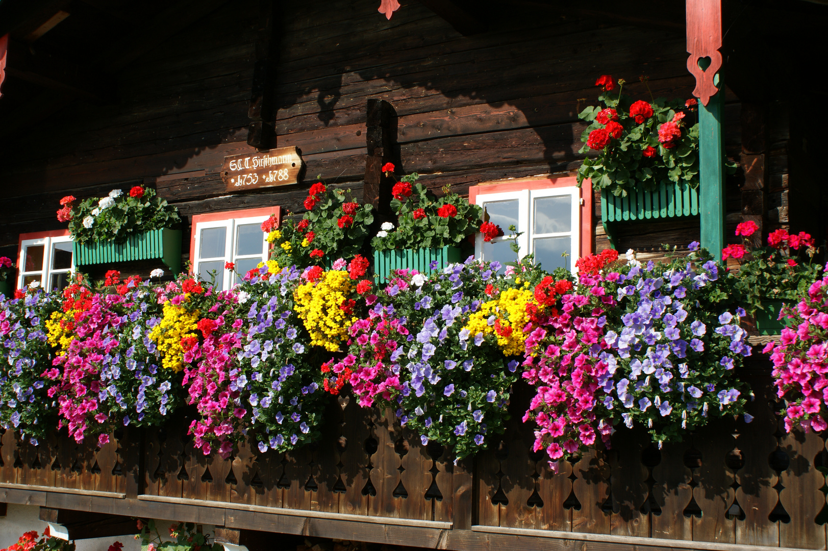 Wer kann meine Blüten zählen ?