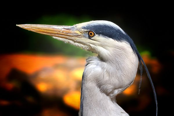 Wer kann sachdienliche Hinweise....