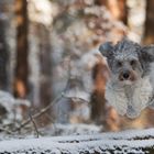 Wer keinen Schnee an den Füßen will...