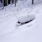 Wer kommt da durch den Winterwald?