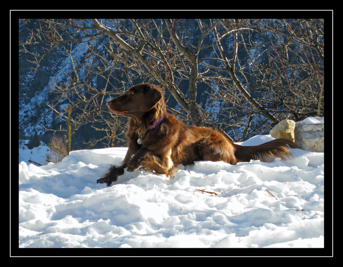 *** Wer kommt den da......?***