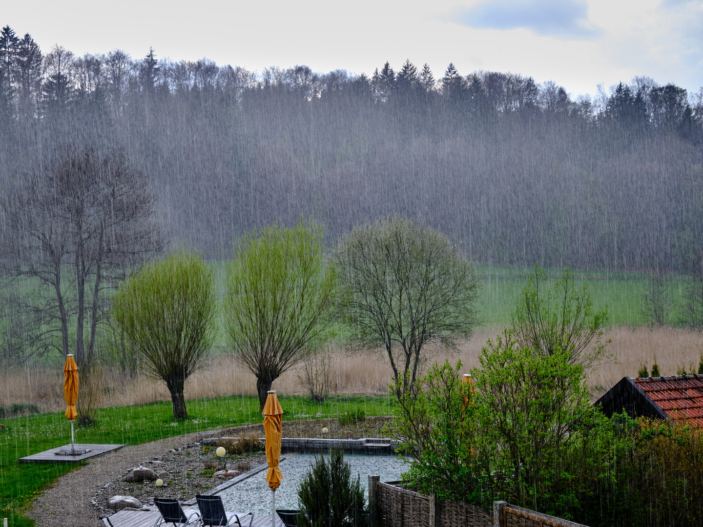 Wer kommt mit zum Schwimmen