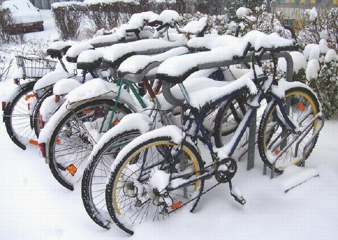 Wer mag Fahrrad fahren ?