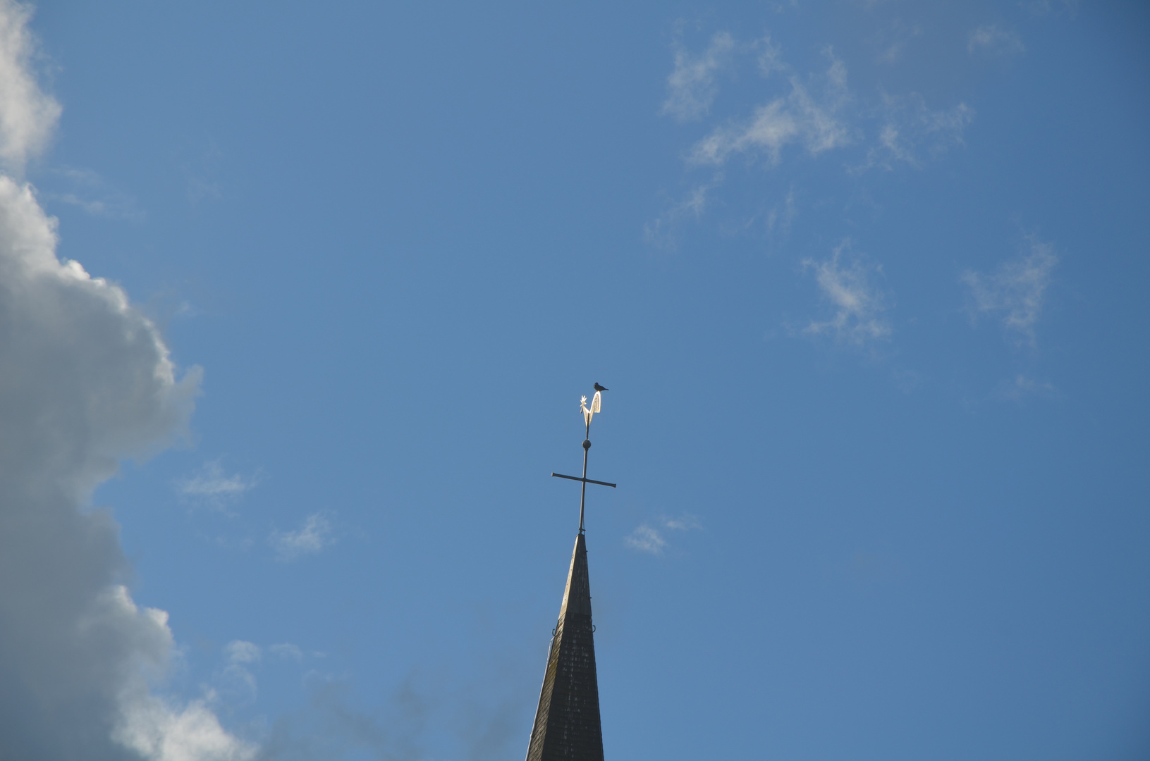 Wer manipuliert denn da den Wetterhahn?