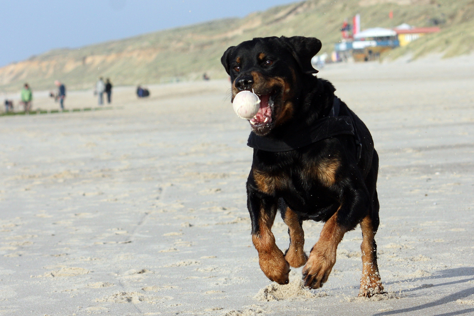 wer möchte mit dem Ball tauschen?