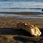 Wer niemals as sein Brot am Strand.-..
