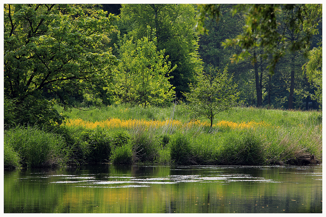 Wer nur am (sicheren) Ufer entlang schwimmt, ...