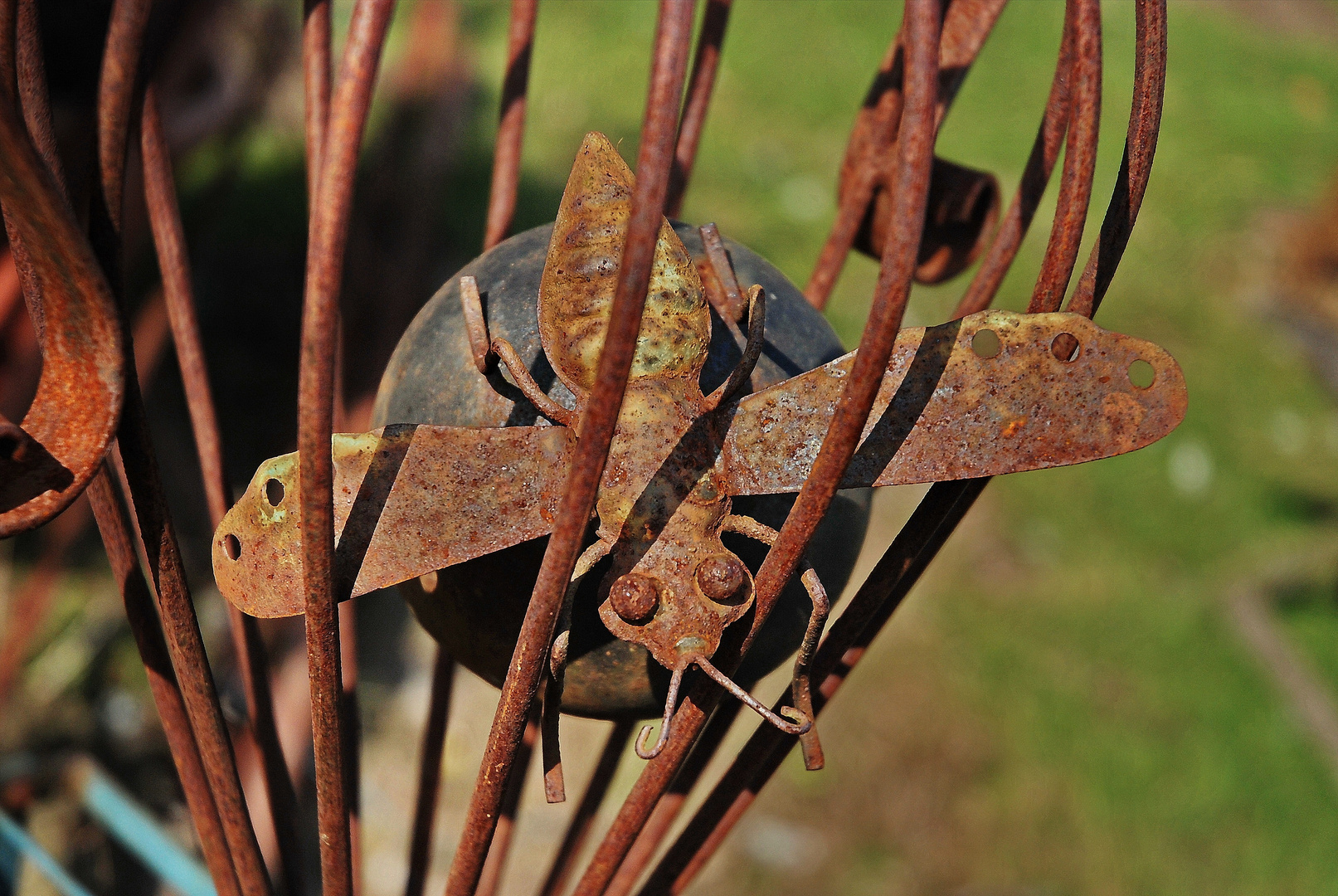 Wer rastet, der rostet Foto & Bild | landschaft, garten ...