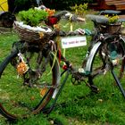 Wer Rastet der Rostet