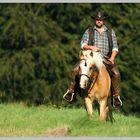 ... wer reitet da über Feld und Wiese ...