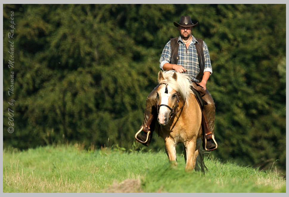 ... wer reitet da über Feld und Wiese ...