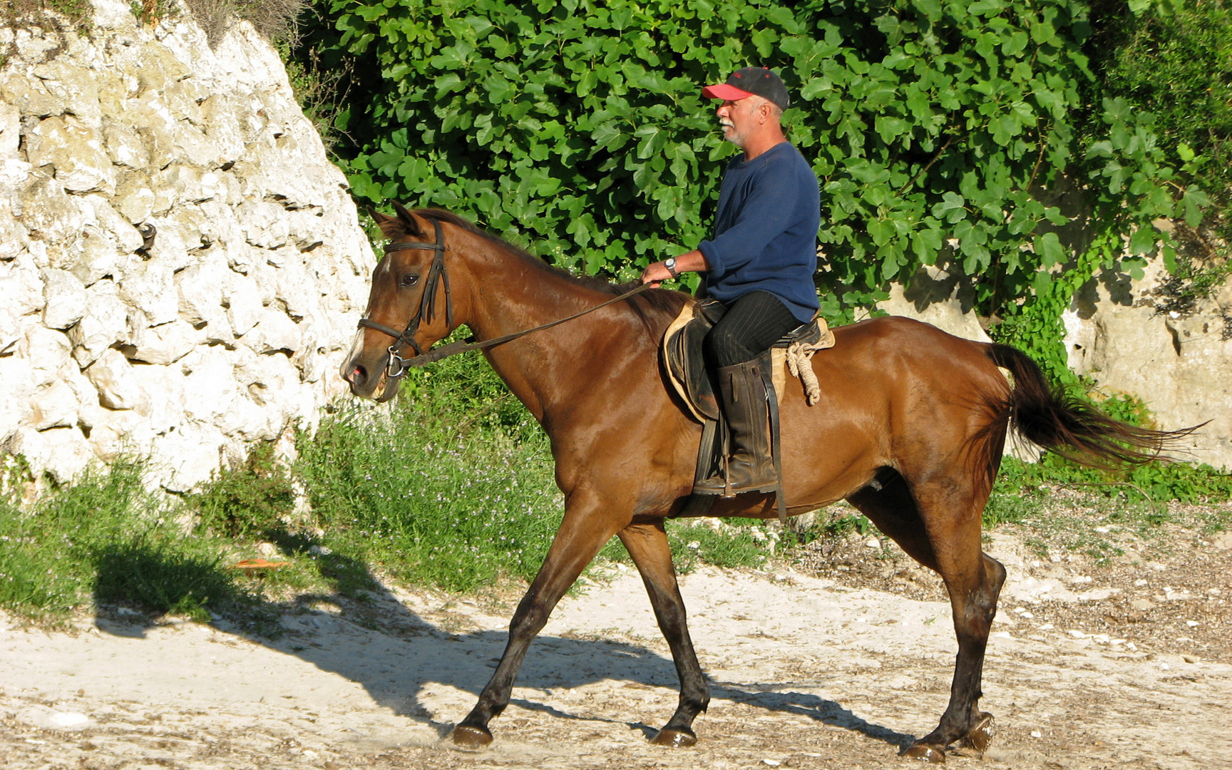 Wer reitet nach Menorca