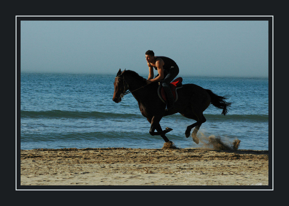 Wer reitet so spät durch Strand und Wind ? ....