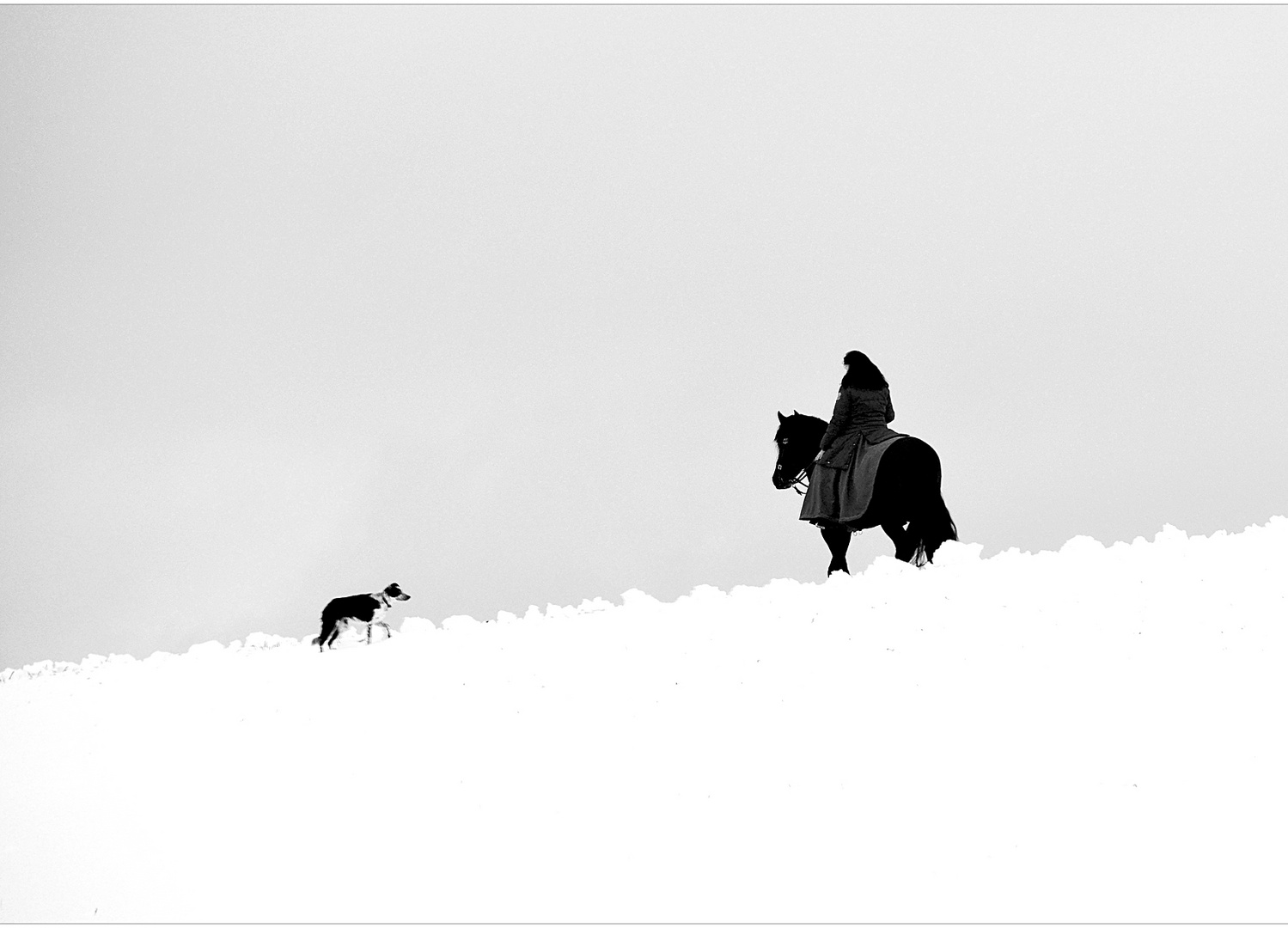 ...wer reitet so spät mit pferd und hund...