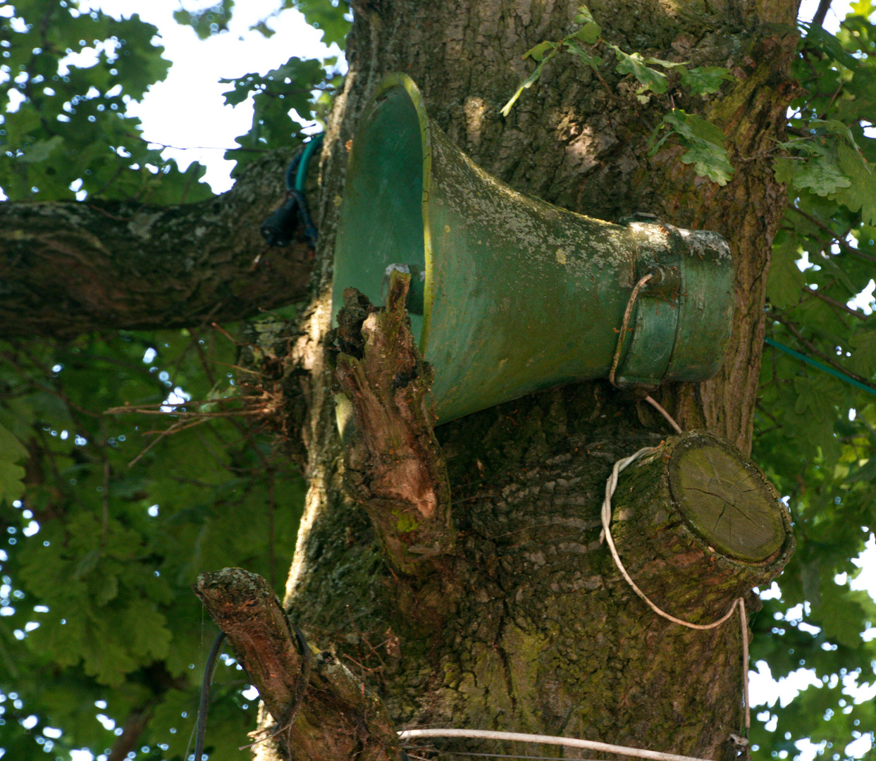 wer ruft denn da aus dem Wald