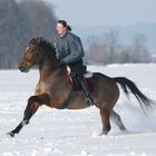 Wer sagt das Winter nicht Spaß macht