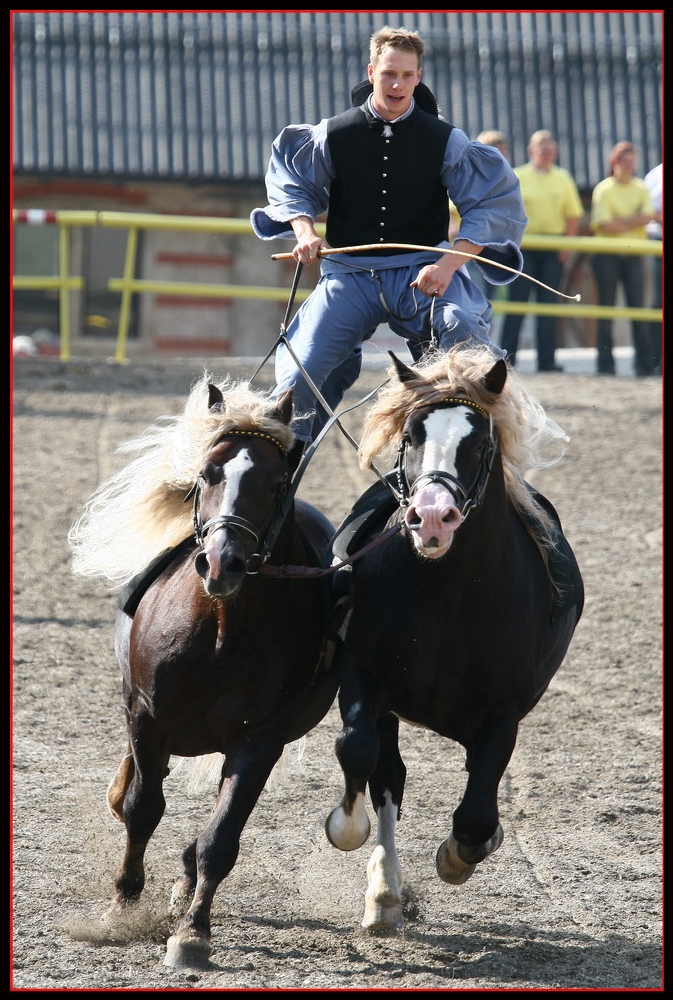 Wer sagt, dass man(n) nicht auf 2 Pferden reiten kann? Foto & Bild sport, sport mit tieren Wer sagt, dass man(n) nicht auf 2 Pferden reiten kann? Foto & Bild sport, sport mit tieren