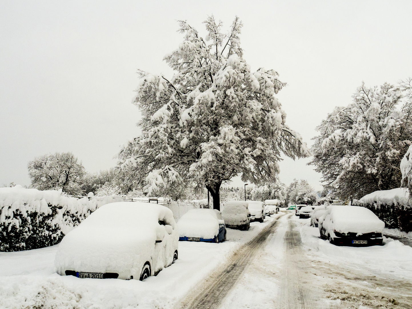 Wer sagt denn, das es keinen Winter mehr gibt?