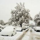 Wer sagt denn, das es keinen Winter mehr gibt?