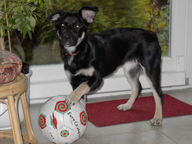 Wer sagt denn, daß Frauen nicht Fußballspielen können?