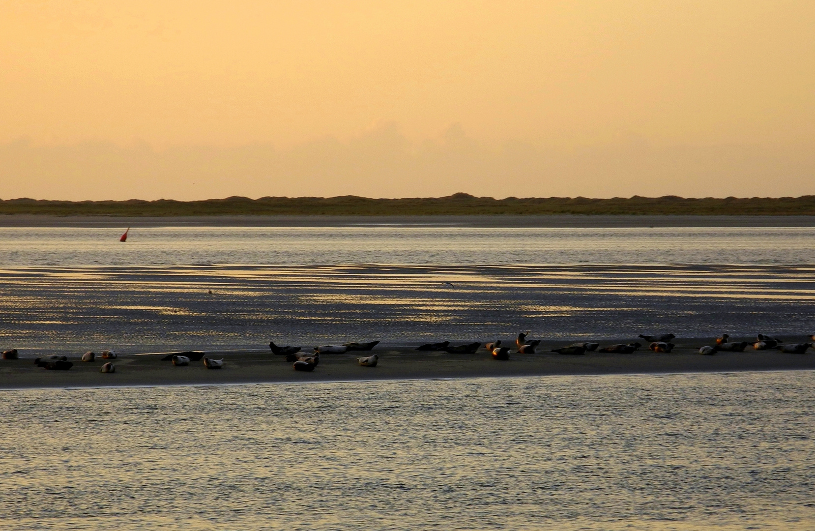 Wer sagt hier Sandbank?