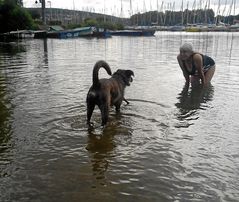 "Wer sagt ich sei Wasserscheu ? Wenn ich Frauchen retten muß geh ich auch ins Wasser !"