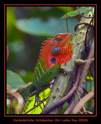 wer schämt sich hier ...