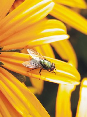 Wer schön sein will...