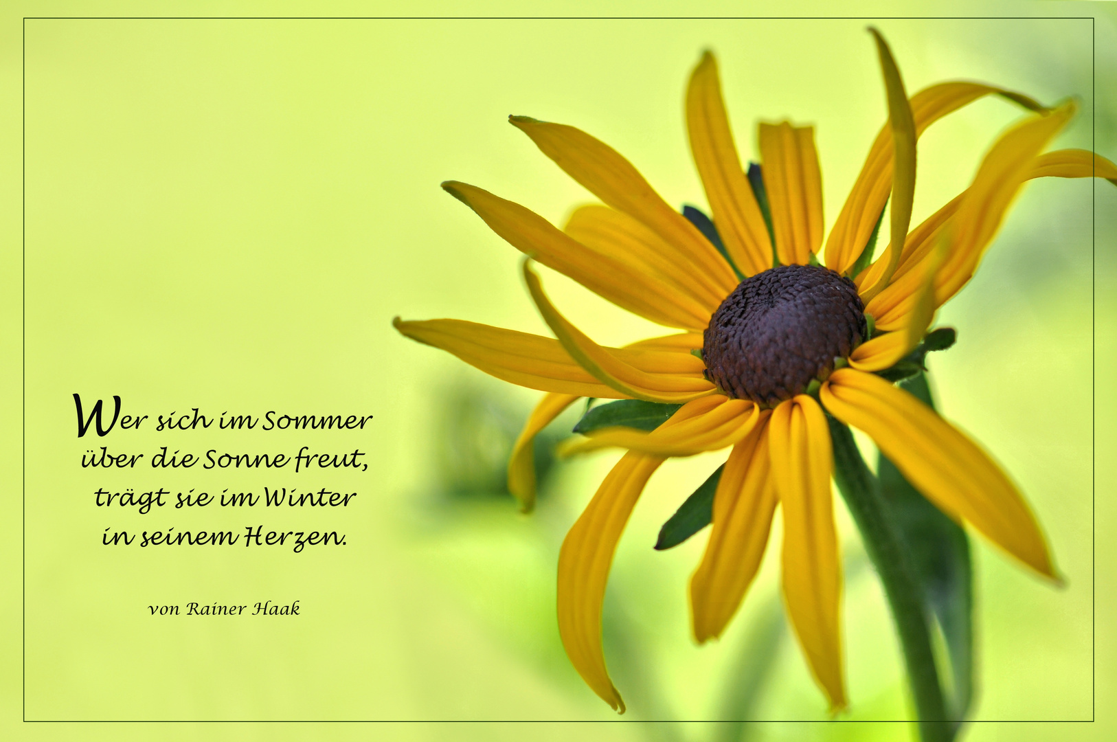 Wer sich im SOMMER...