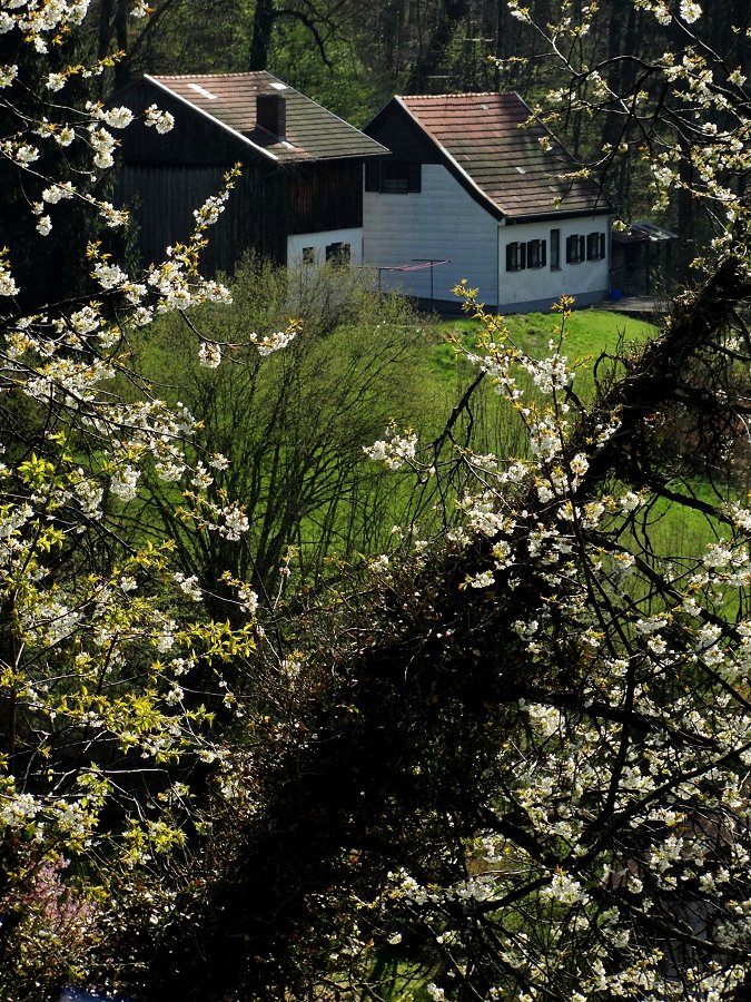 Wer spricht noch von Frühling?