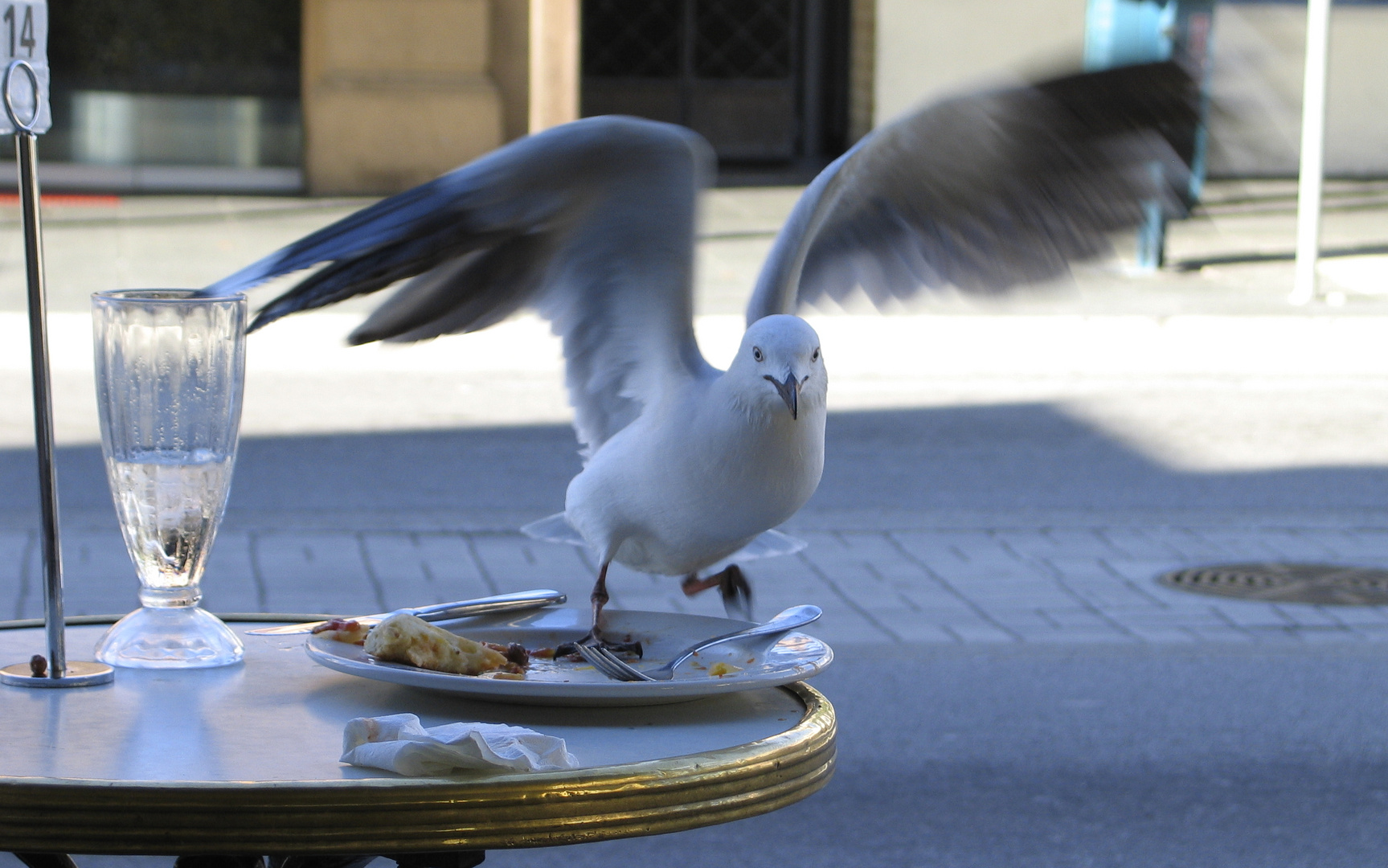 wer stört mich beim Futtern!!??