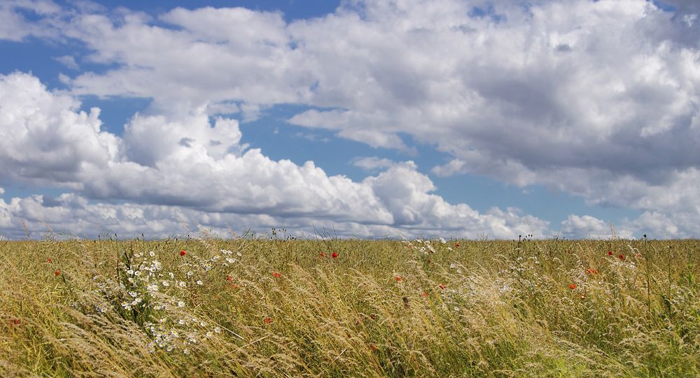 Wer Sturm sät, wird manchmal nur Wind ernten -