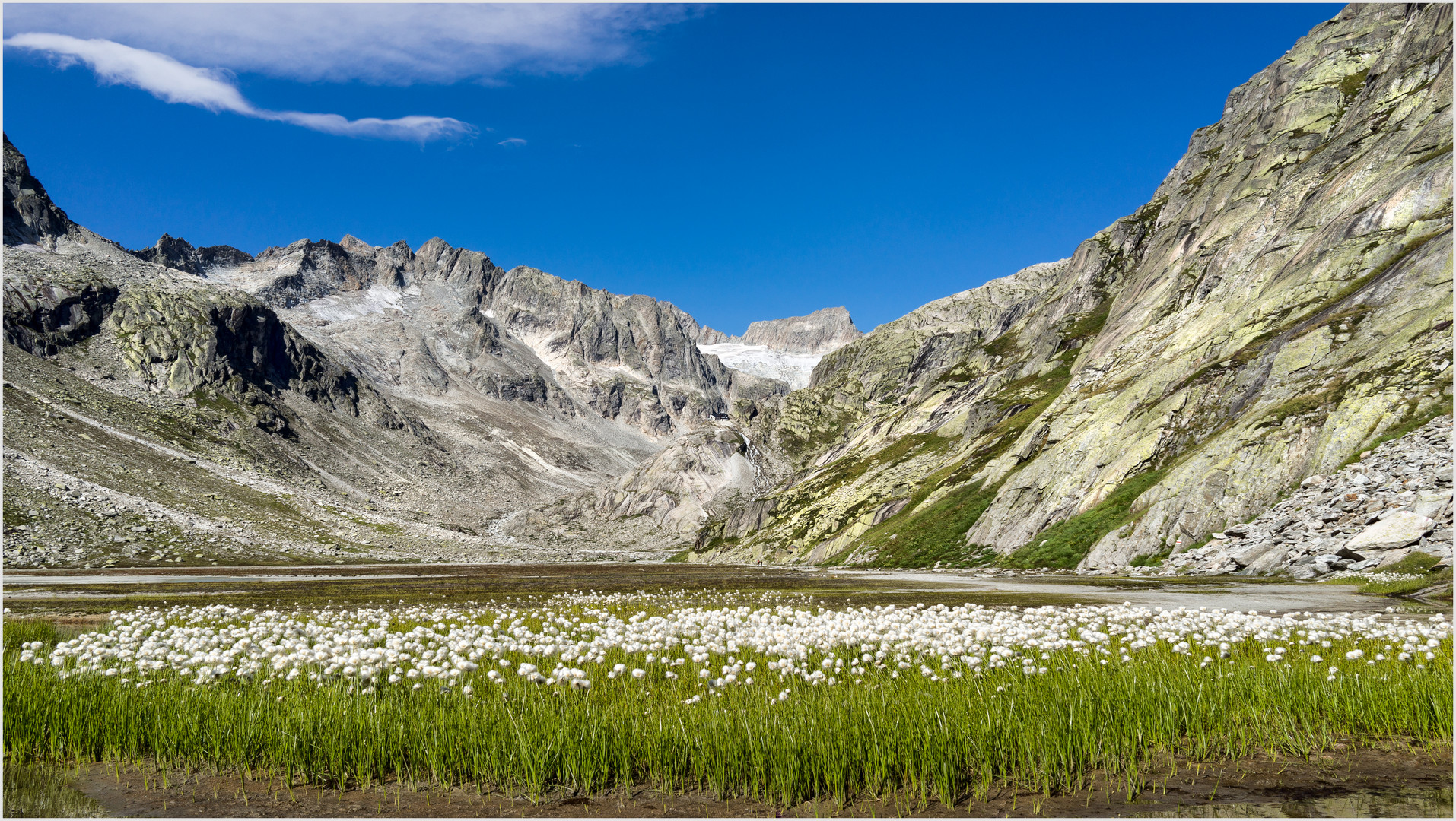 Wer sucht der findet, die Bächlitalhütte