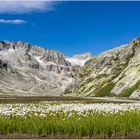 Wer sucht der findet, die Bächlitalhütte