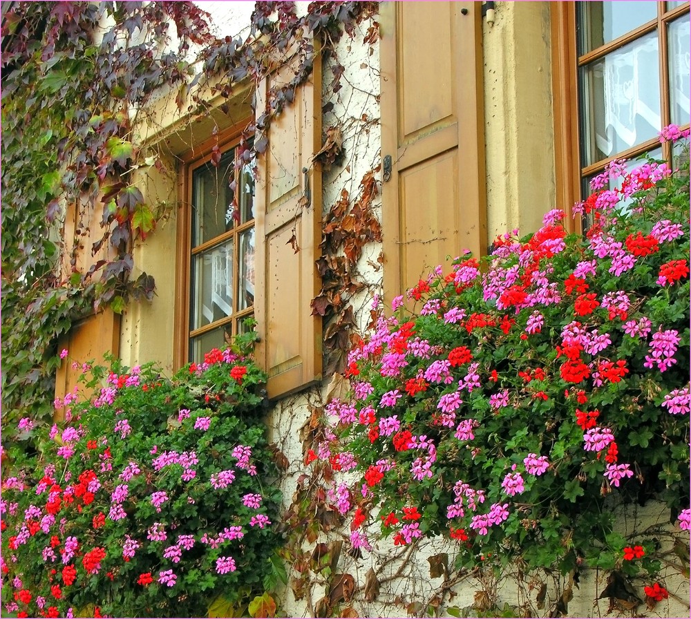 Wer trübe Fenster hat...