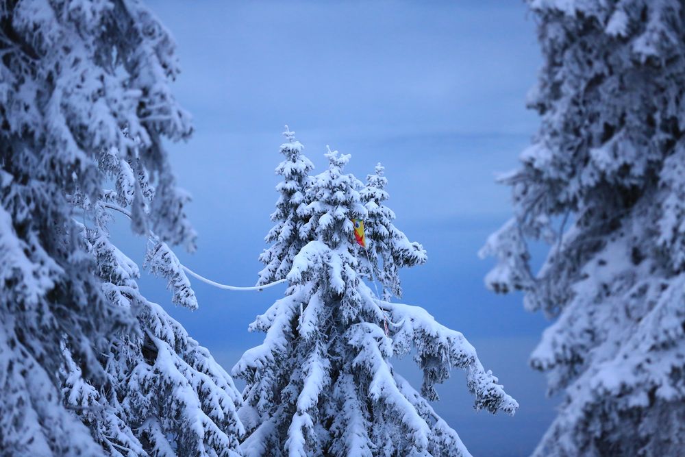 Wer vermisst mich? Herbst und Winter vereint