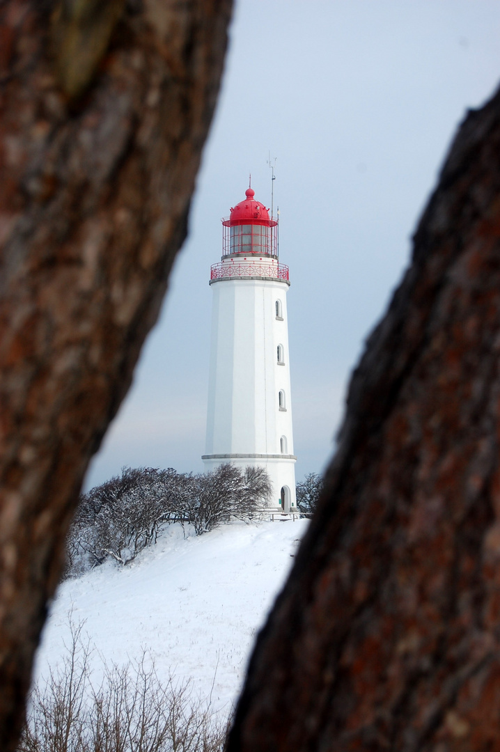 Wer verstäckt sich denn da? Der Leuchtturm Hiddensee