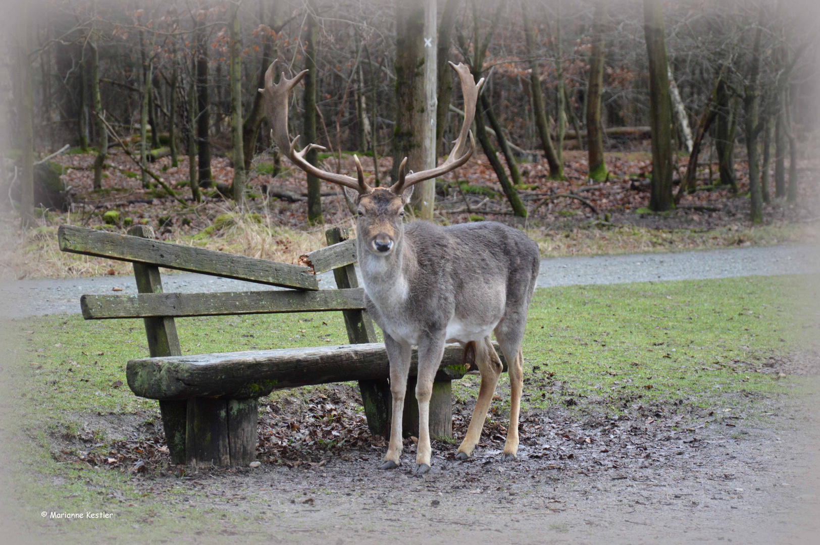 Wer war das?