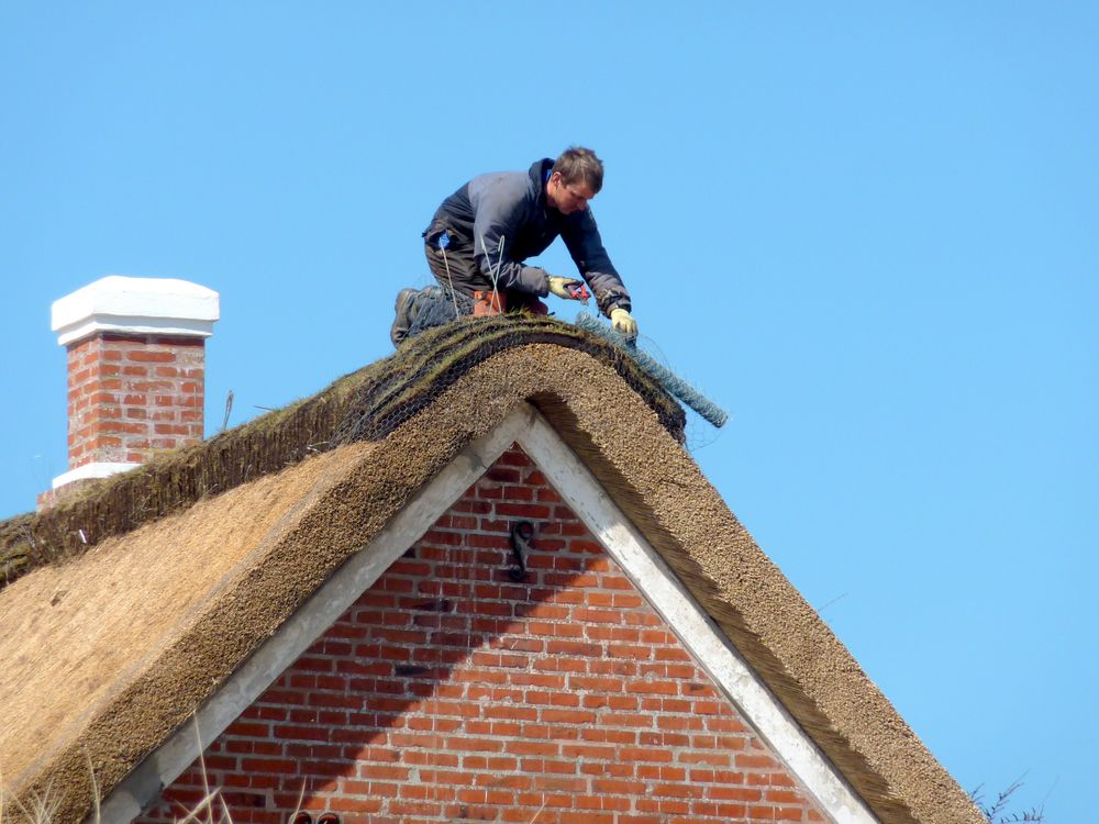 wer will fleißige Handwerker sehen?