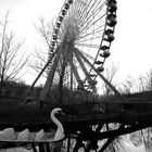 Wer will nochmal mitfahren? Spreepark Berlin