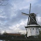 Wer Wind sät wird Sturm ernten