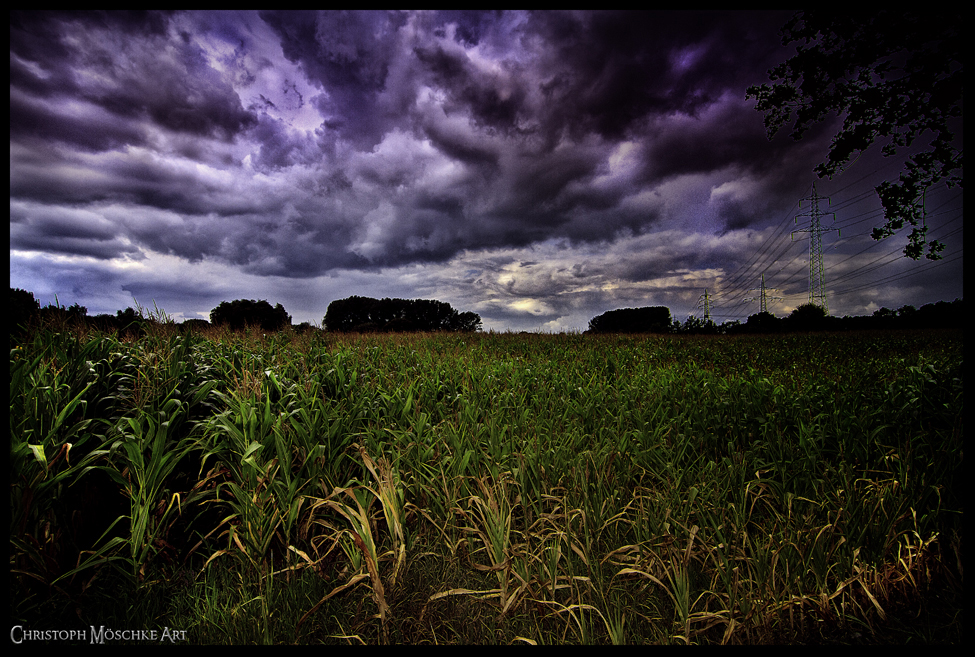 Wer Wind Sat Wird Sturm Ernten Who Sows Wind Will Reap The