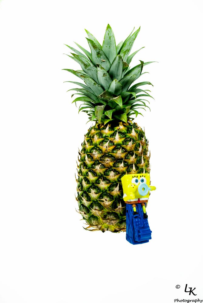 Wer wohnt in der Ananas ganz tief im Meer ?... Foto & Bild stillleben, arrangierte szenen Wer wohnt in der Ananas ganz tief im Meer ?... Foto & Bild stillleben, arrangierte szenen