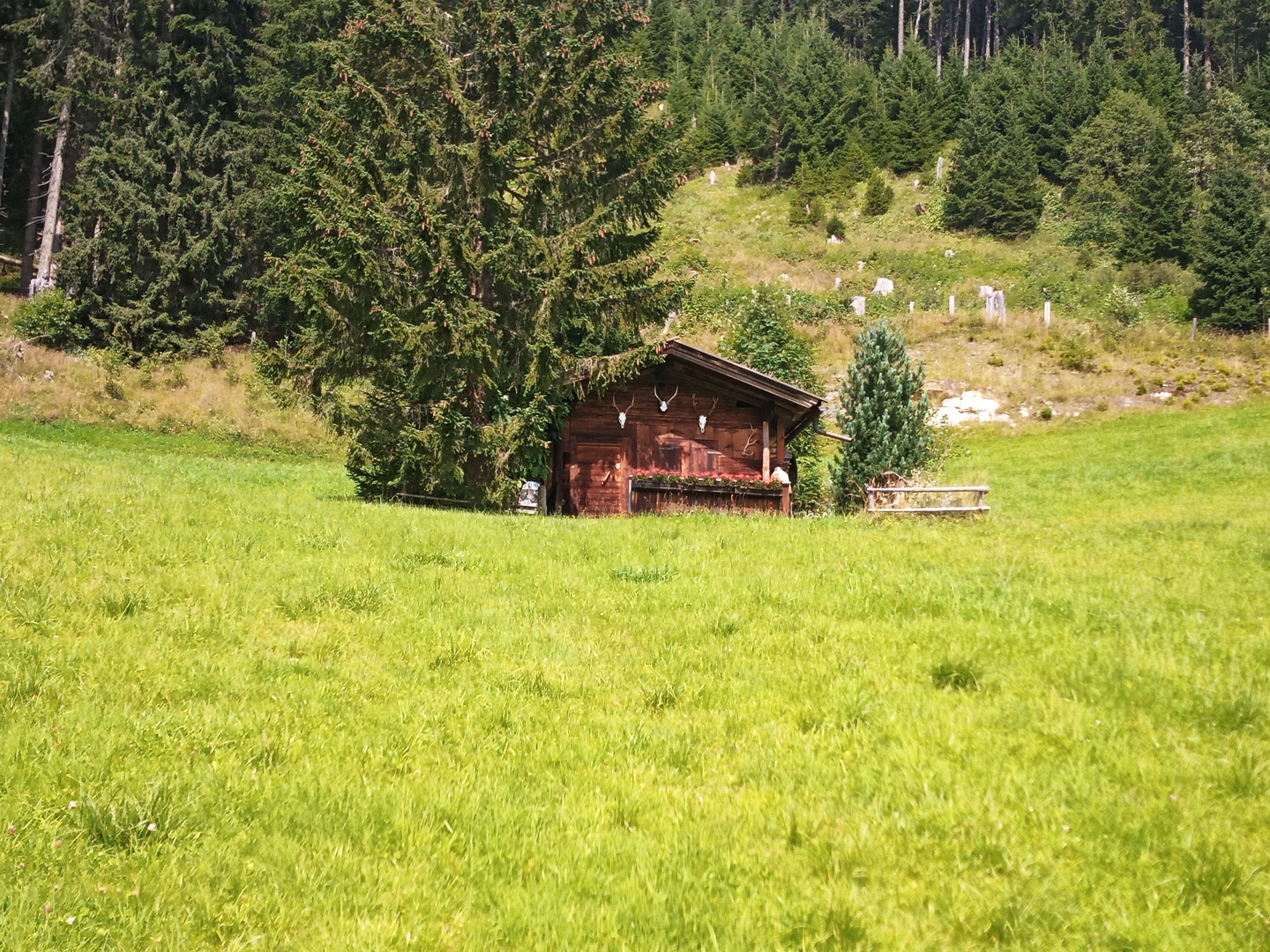 Wer würde sich nicht ab und zu so eine Hütte im Wald wünschen